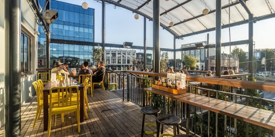 WordPress social at Dux Central.