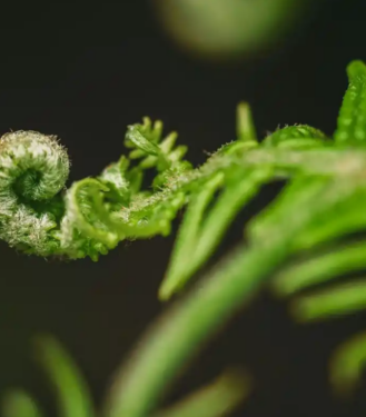 A New Clean / Green / Climate Tech Meetup is Launching in Christchurch